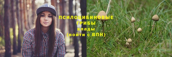 таблы Алзамай